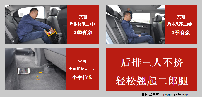 福瑞迪 福瑞迪