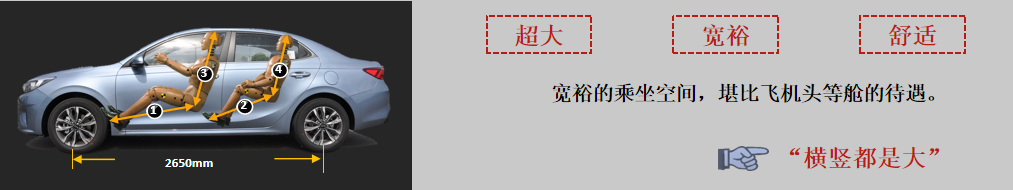 福瑞迪 福瑞迪