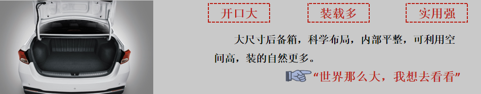 福瑞迪 福瑞迪