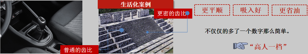 福瑞迪 福瑞迪